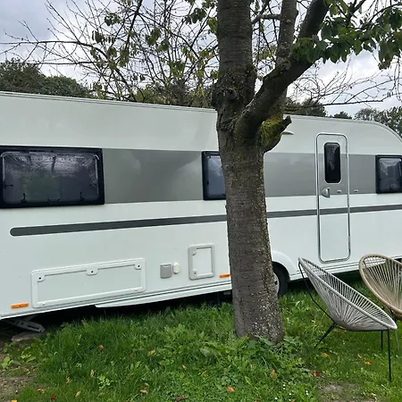 キャンプ場 Weberhof-muenster Glamping *