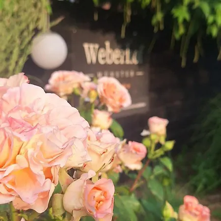 Weberhof-muenster Glamping *