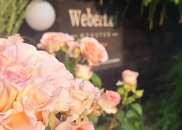 Weberhof-muenster Glamping *